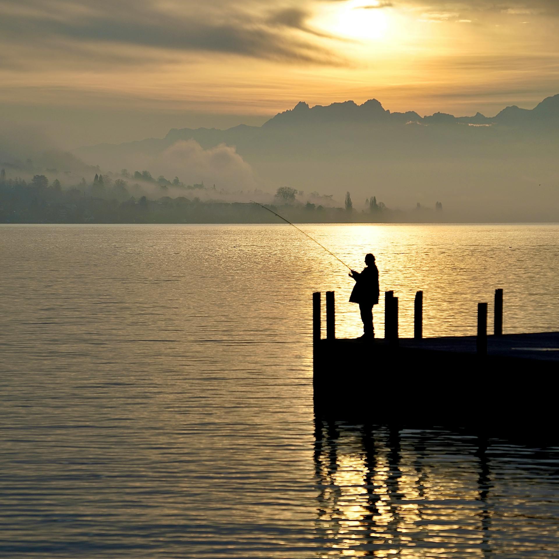 pexels-thomas-forsberg-1300282497-24838084