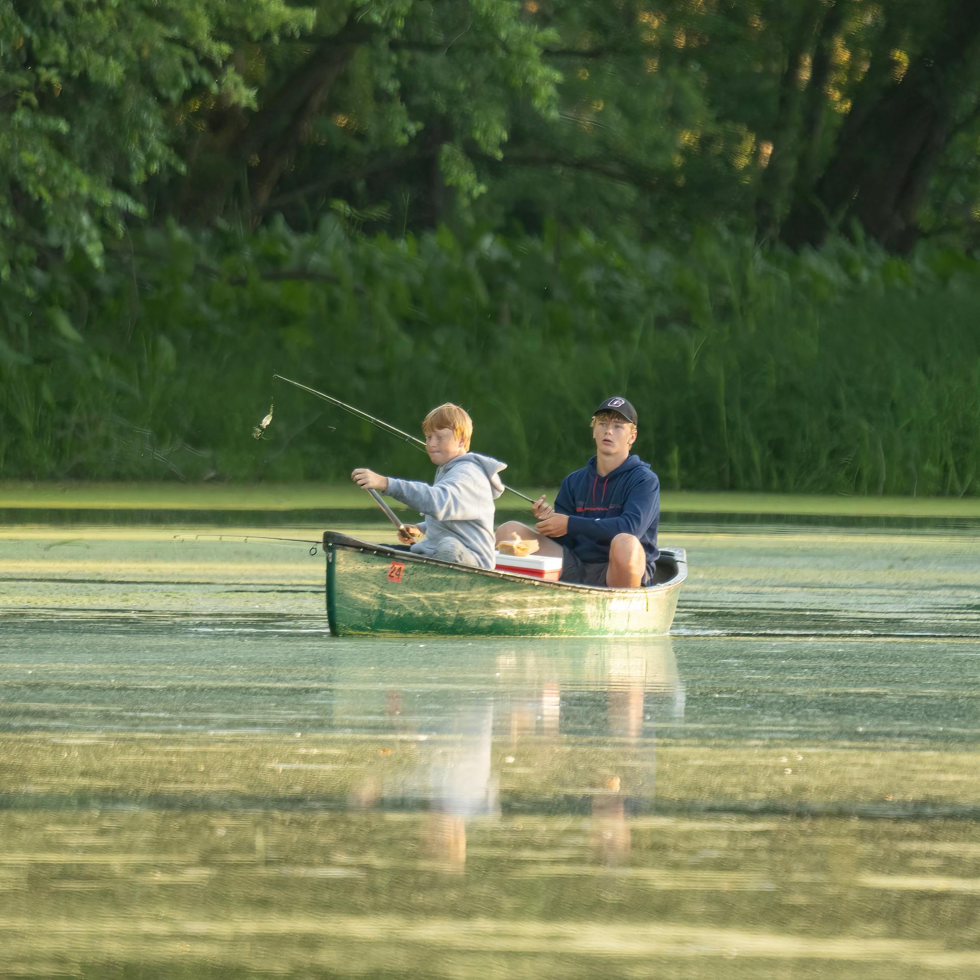 pexels-tomfisk-27645702